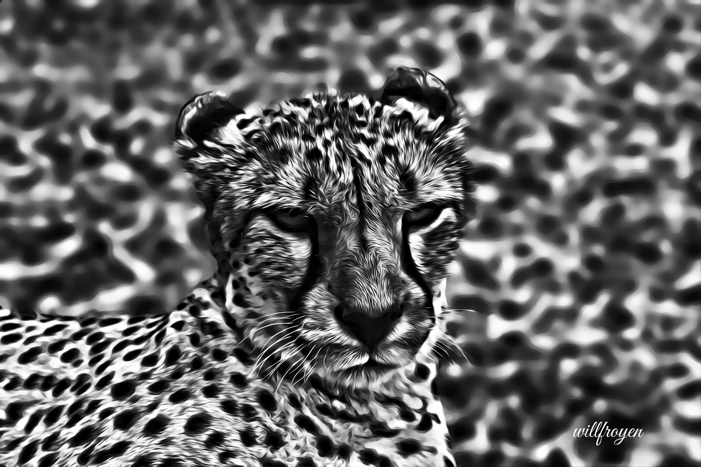A black and white photo of a cheetah with a painterly edit